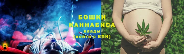 2c-b Белокуриха