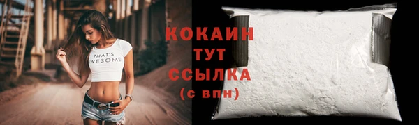2c-b Белокуриха