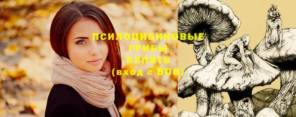 ешки Строитель